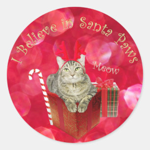 I Believe in Santa Paws Classic Round Sticker