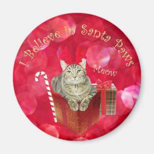 I Believe in Santa Paws Magnet