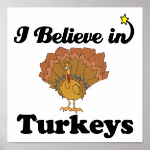 i believe in turkeys poster