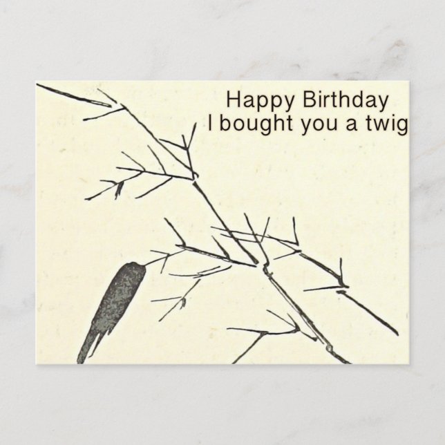 I Bought You a Twig Funny Birthday Card, Humourous Postcard (Front)