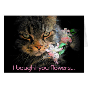 I Bought You Flowers then Ate Them