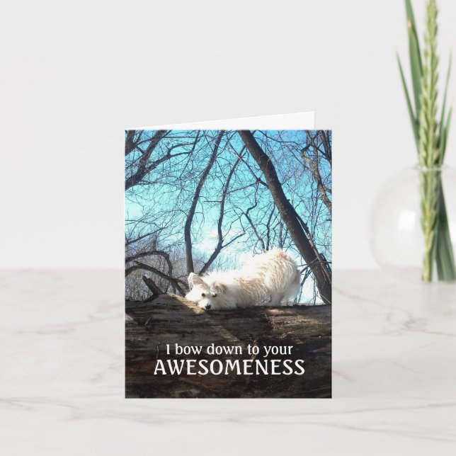 I Bow Down To Your Awesomeness (A Thank You Card) Card (Front)
