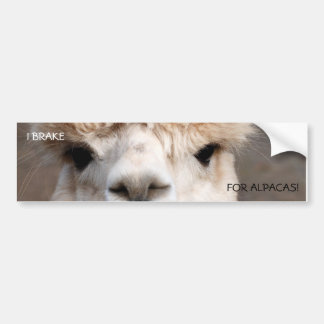 I BRAKE, FOR ALPACAS! BUMPER STICKER