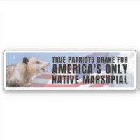 I brake for America's only native marsupial