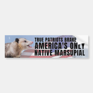 I brake for America's only native marsupial Bumper Sticker