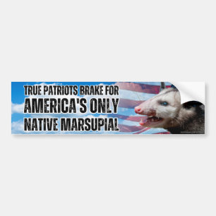 I brake for America's only native marsupial, Funny Bumper Sticker