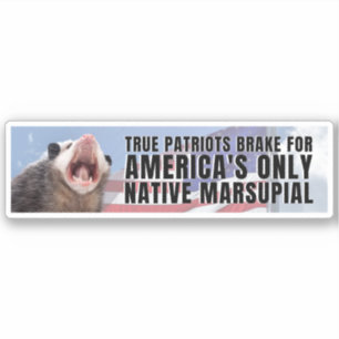 I brake for America's only native marsupial Possum