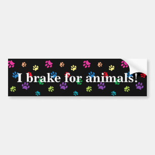I Brake for Animals! Rainbow Painted Paws Black Bumper Sticker