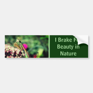 I Brake For Beauty Praying Mantis Nature  Bumper Sticker