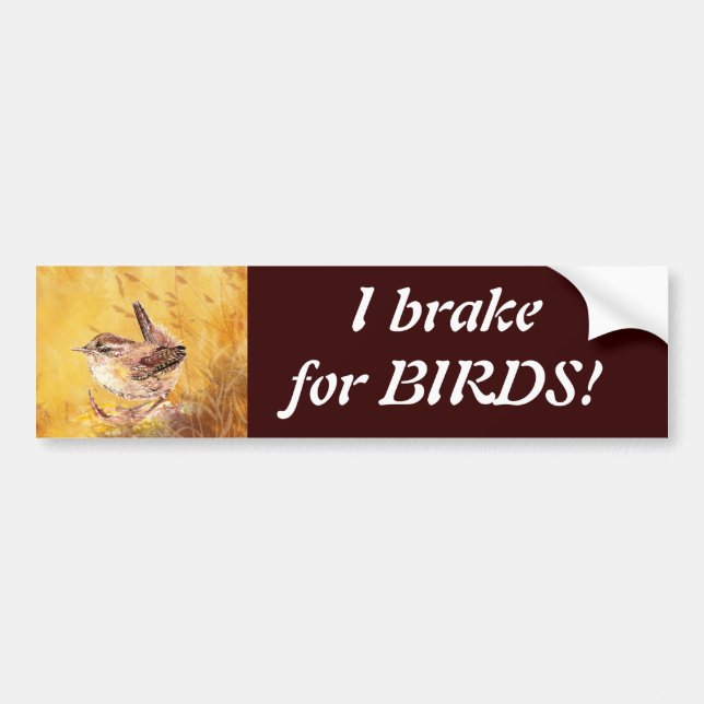 I brake for Birds - Birding with Cute Wren Art Bumper Sticker (Front)