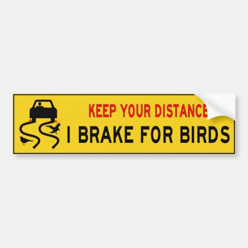 Image of I brake for birds bumper sticker