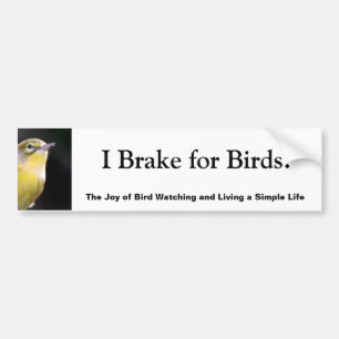 I Brake for Birds! Bumper Sticker