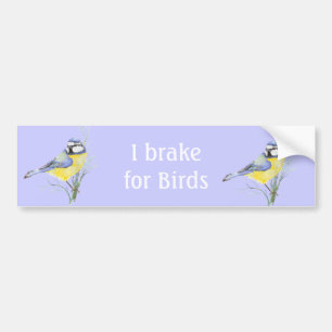 I Brake for Birds, Watercolor Common Bird Bumper Sticker