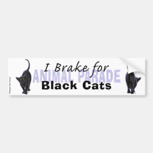 I Brake for Black Cats Bumper Sticker