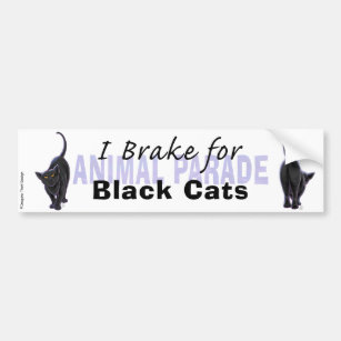 I Brake for Black Cats Bumper Sticker