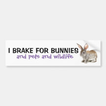 I Brake For Bunnies Bumper Sticker