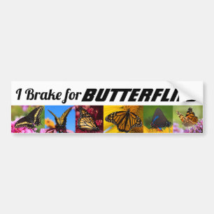 I Brake for Butterflies Bumper Sticker