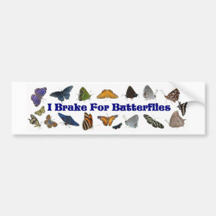 I Brake For Butterflies Bumper Sticker