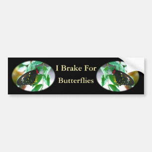 I Brake For Butterflies Nature Bumper Sticker