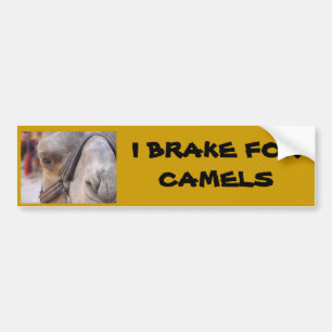 I BRAKE FOR CAMELS BUMPER STICKER