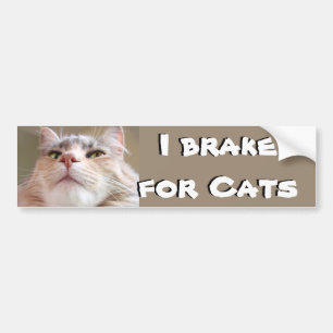 I brake for Cats Bumper Sticker