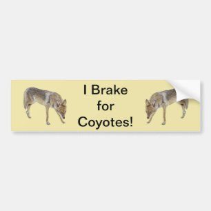 I Brake For Coyotes Bumper Sticker