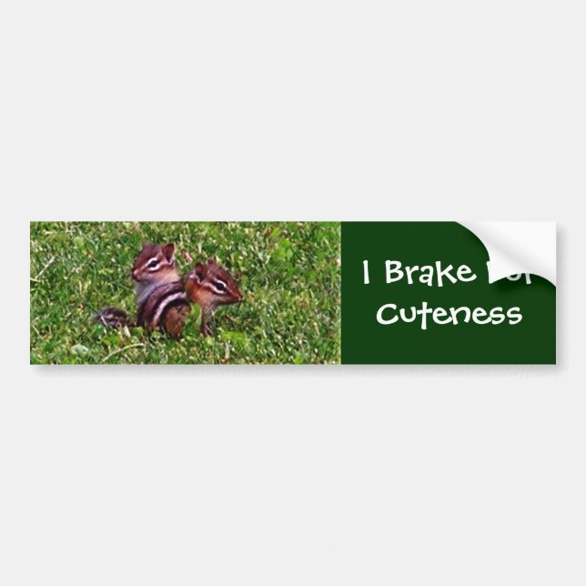 I Brake For Cuteness Chipmunks Bumper Sticker (Front)