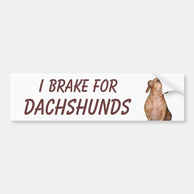 I BRAKE FOR DACHSHUNDS BUMPER STICKER (Front)