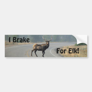 I Brake For Elk Bumper Sticker