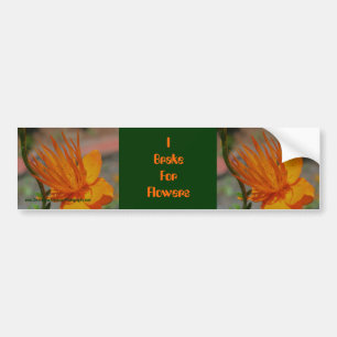 I Brake For Flowers Bumper Sticker Car Art