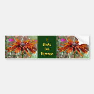 I Brake For Flowers Daisy Bumper Sticker