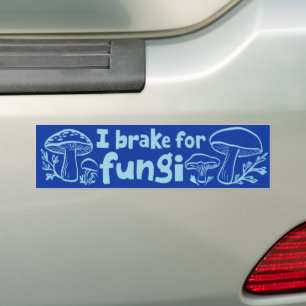 I BRAKE FOR FUNGI Cute Mushrooms Foraging Nature Bumper Sticker