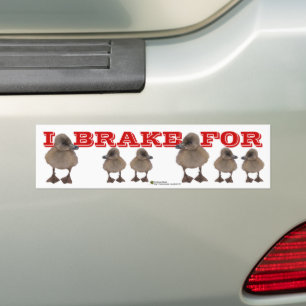 I BRAKE FOR Grey Duckling Photo Personalised Bumper Sticker