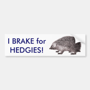 I Brake for HEDGIES! Save Hedgehogs Bumpersticker Bumper Sticker
