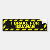 I brake for iguanas yellow caution sticker