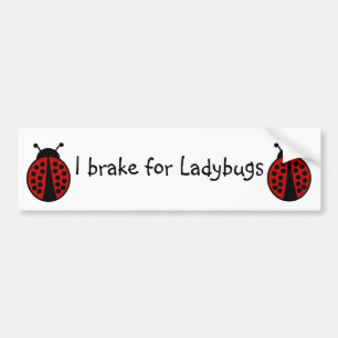 I brake for Ladybugs Bumper Sticker