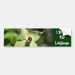 I Brake For Ladybugs Flower Photo Bumper Sticker