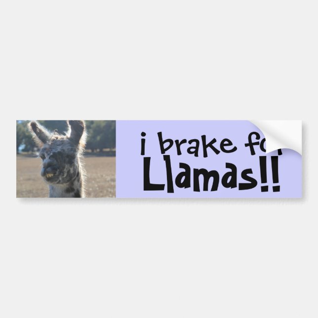 i brake for Llamas! cute Bumper Sticker (Front)