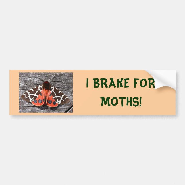 I BRAKE FOR MOTHS bumper sticker (Front)