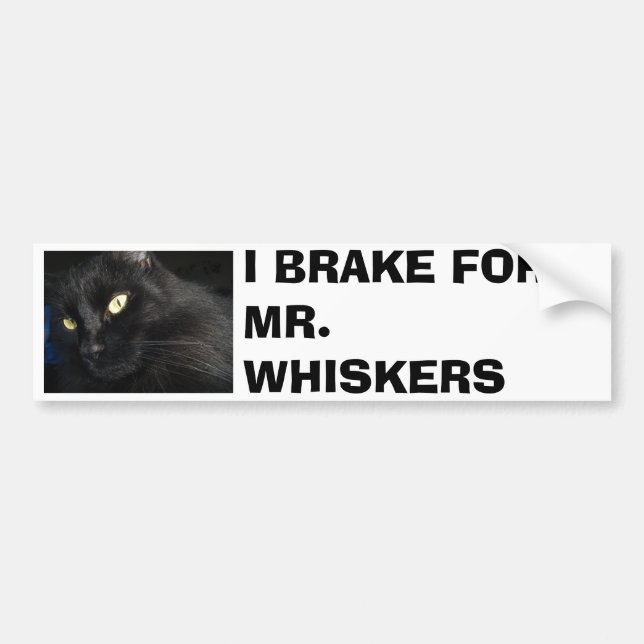 I BRAKE FOR MR. WHISKERS BUMPER STICKER (Front)