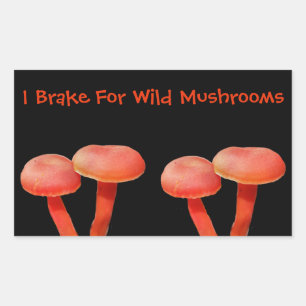 I Brake For Mushroom Cute Nature Rectangular Sticker