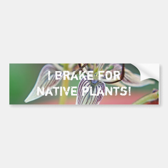 I brake for native plants - Bumper sticker (Front)