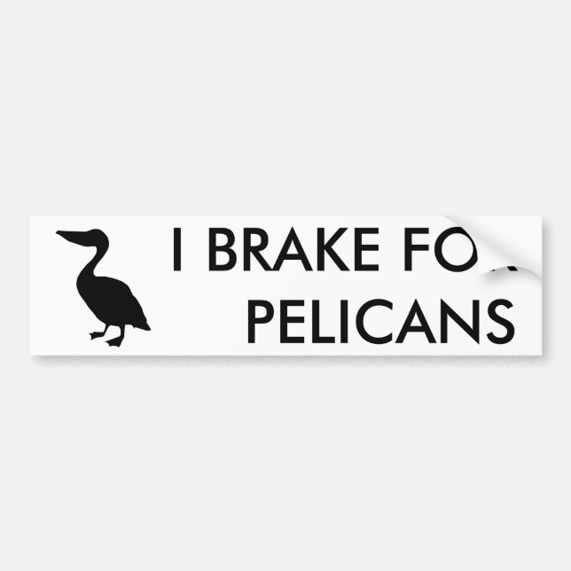 I BRAKE FOR PELICANS Bumper Sticker (Front)