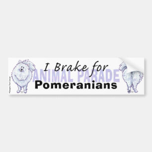 I Brake for Pomeranians Bumper Sticker