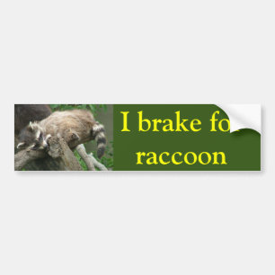 I brake for raccoon bumper sticker