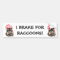 I Brake for RACCOONS FUNNY ANIMAL QUOTE
