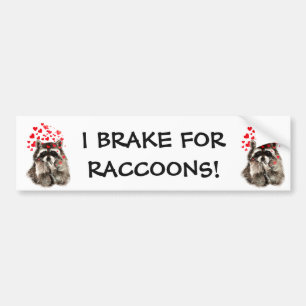 I Brake for RACCOONS FUNNY ANIMAL QUOTE Bumper Sticker