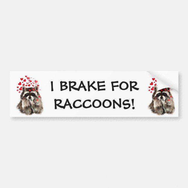 I Brake for RACCOONS FUNNY ANIMAL QUOTE Bumper Sticker (Front)