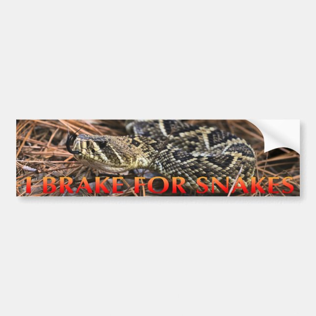 I Brake For Snakes Bumper Sticker (Front)