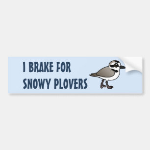 I Brake for Snowy Plovers Bumper Sticker